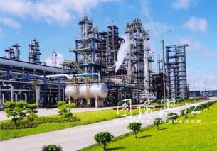 雙星輝映 湛江東興煉油廠的榮譽篇章與軟件開發的創新活力